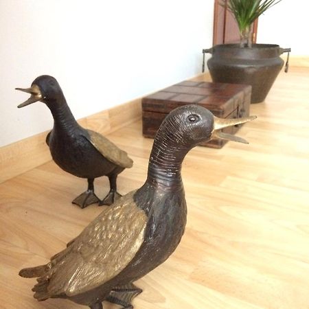 拉科鲁尼亚Retro Vintage Recien Reformado En Centro Coruna公寓 外观 照片