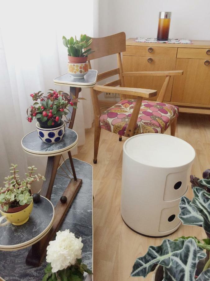 拉科鲁尼亚Retro Vintage Recien Reformado En Centro Coruna公寓 外观 照片